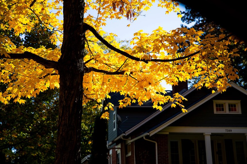 Happy Fall Y'all! / for the love of nike