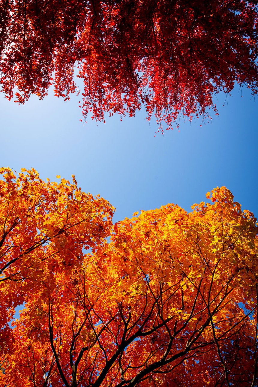 Happy Fall Y'all! / for the love of nike