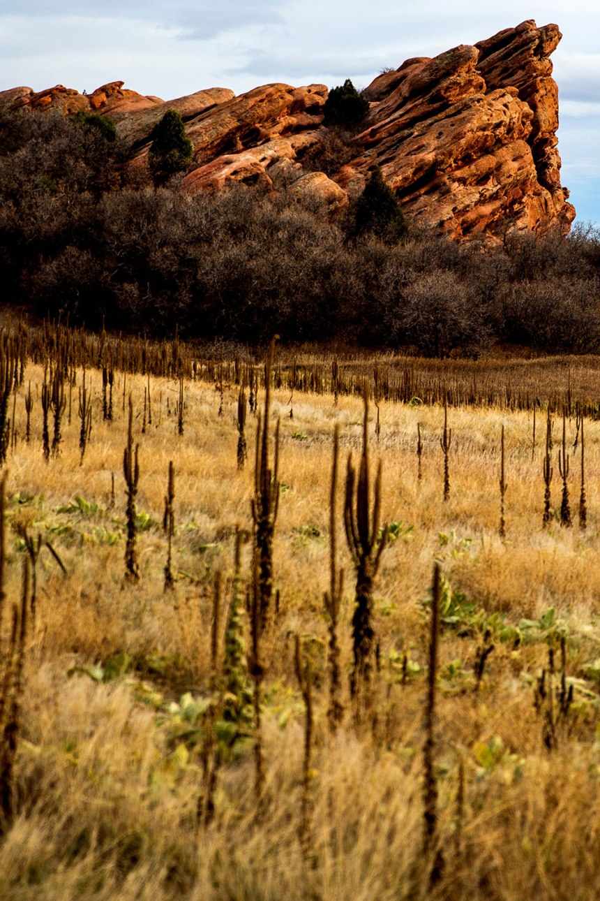 South Valley Park Trail / for the love of nike