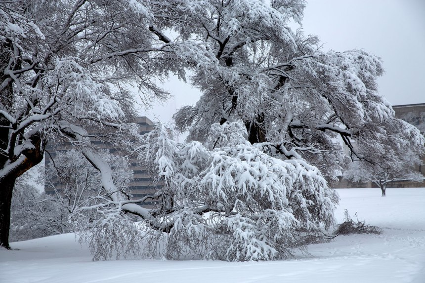 Snow Day in Kansas City, MO / Crafted in Carhartt