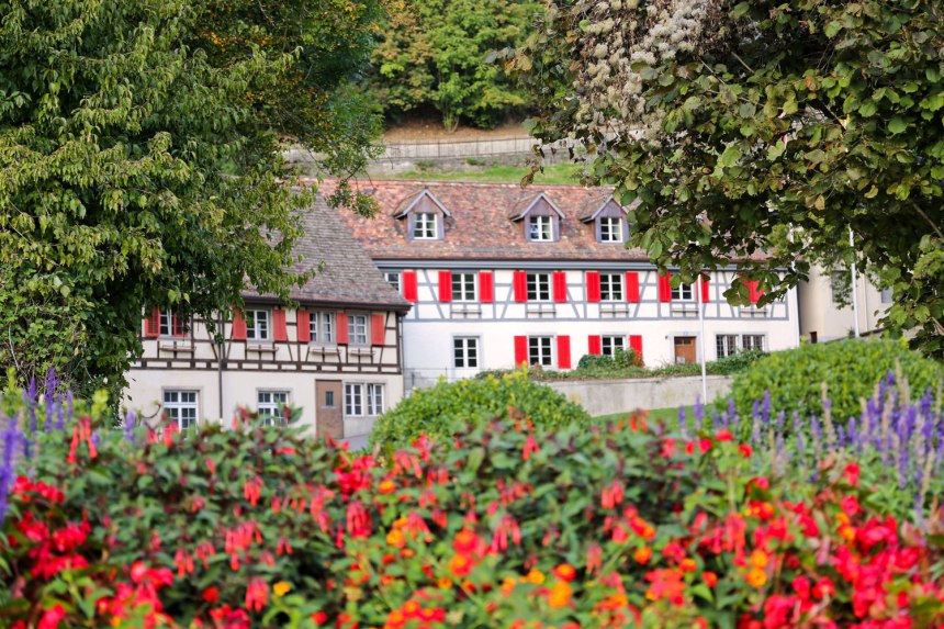 Rhine Falls, Switzerland / for the love of nike