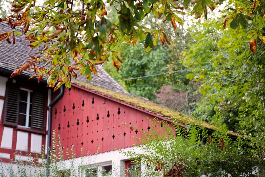 Rhine Falls, Switzerland / for the love of nike
