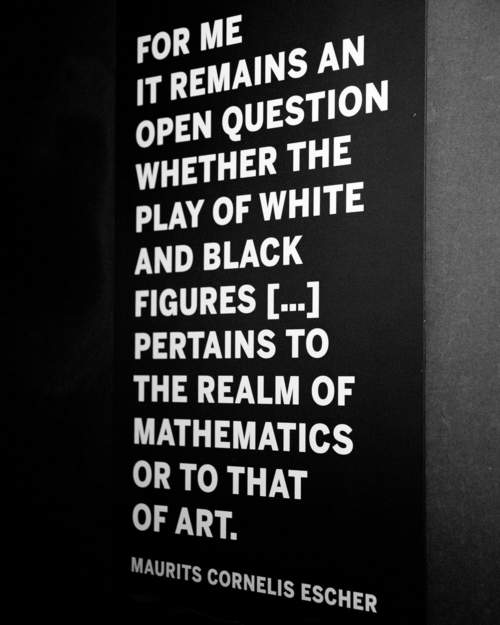 M. C. Escher / for the love of Nike