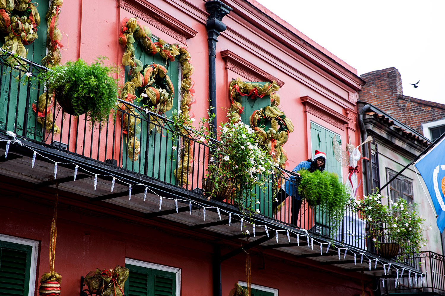 Christmas in New Orleans / for the love of nike
