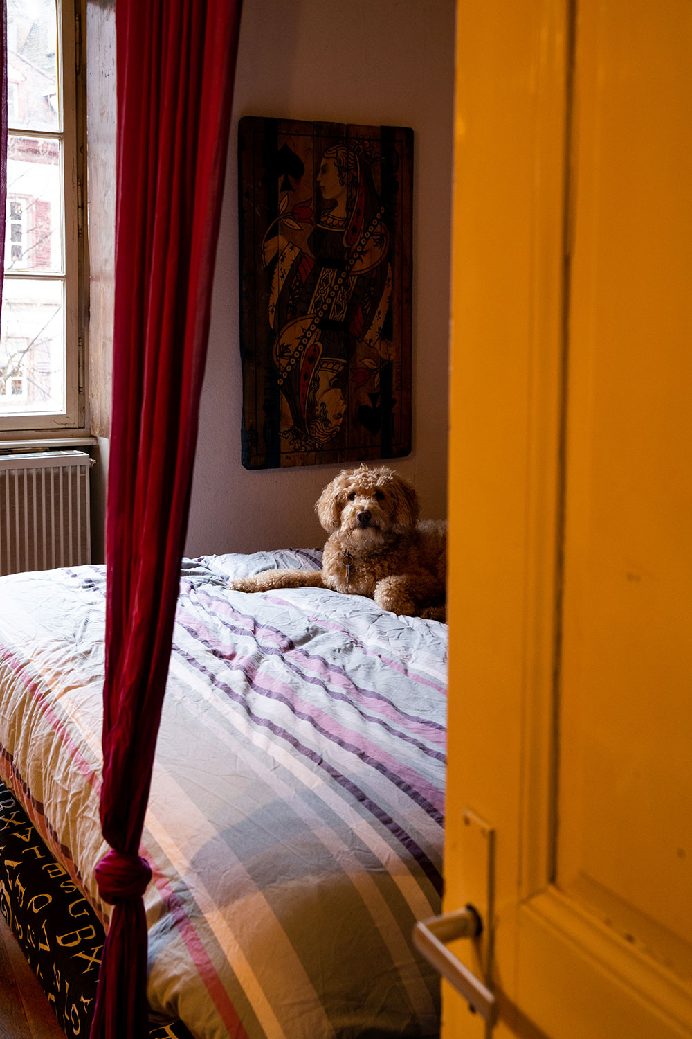 Christmas in Strasbourg, France / for the love of nike