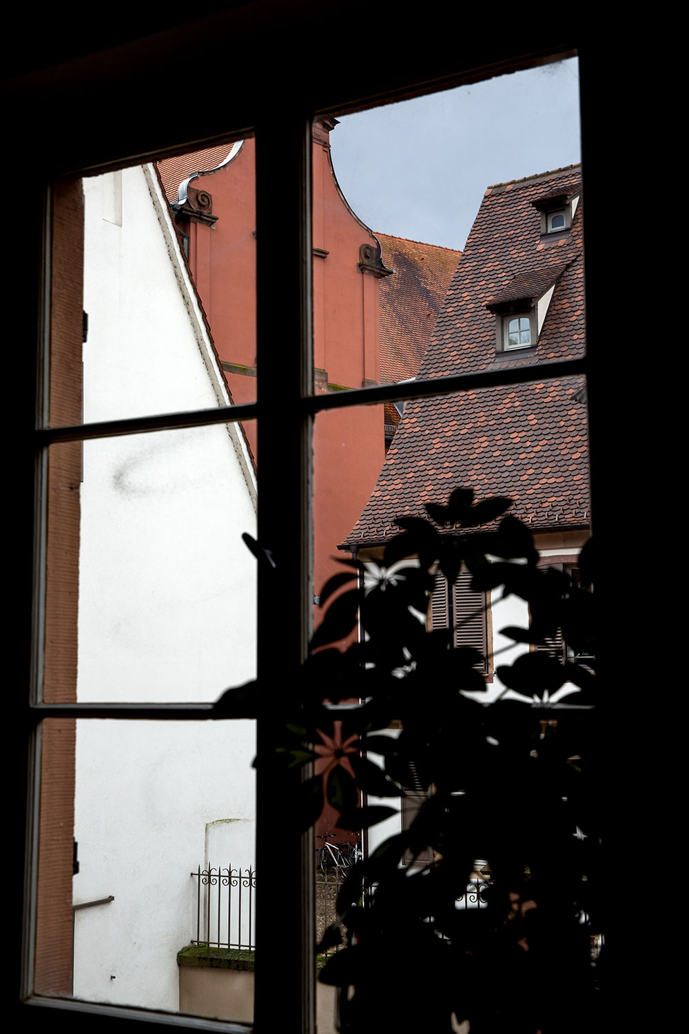 Christmas in Strasbourg, France / for the love of nike