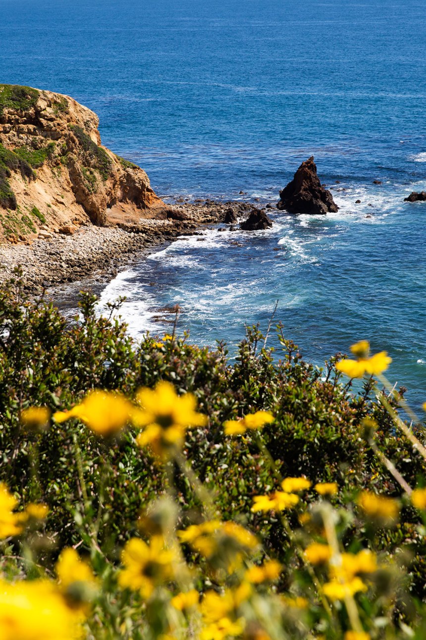 California Cruisin' / for the love of nike