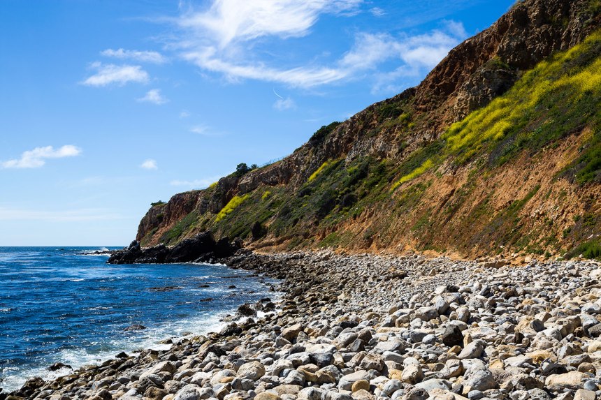 California Cruisin' / for the love of nike