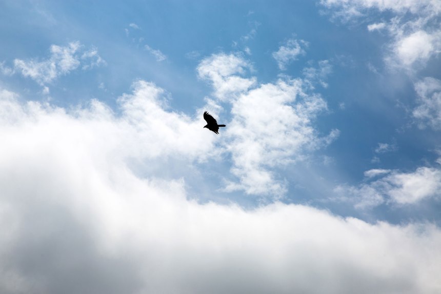 From Los Angeles to Santa Clarita / for the love of nike