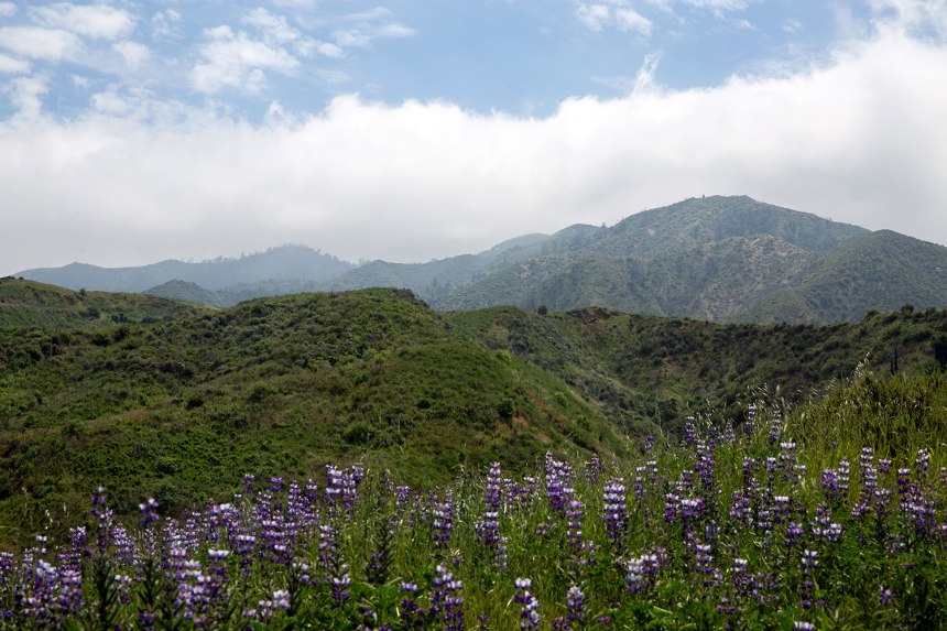 From Los Angeles to Santa Clarita / for the love of nike