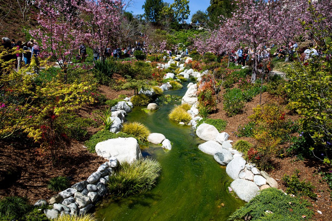 Exploring San Diego / for the love of nike