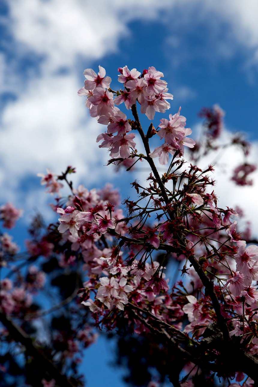 Exploring San Diego / for the love of nike