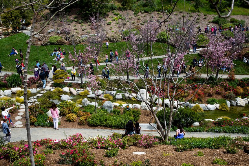 Exploring San Diego / for the love of nike