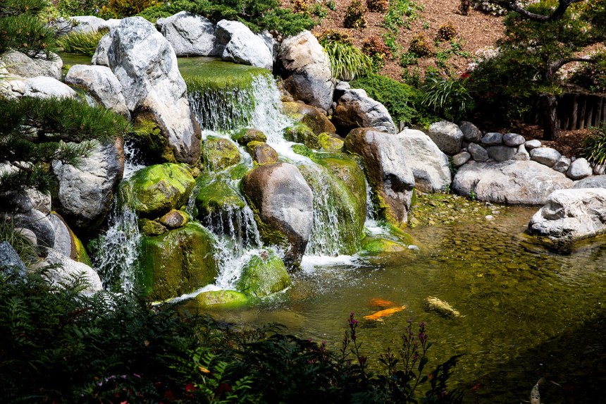 Exploring San Diego / for the love of nike