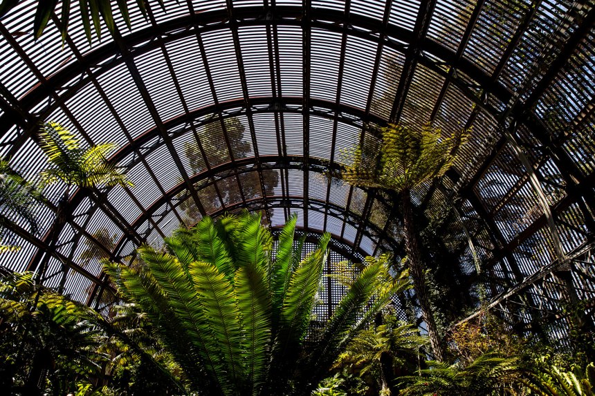 Exploring San Diego / for the love of nike