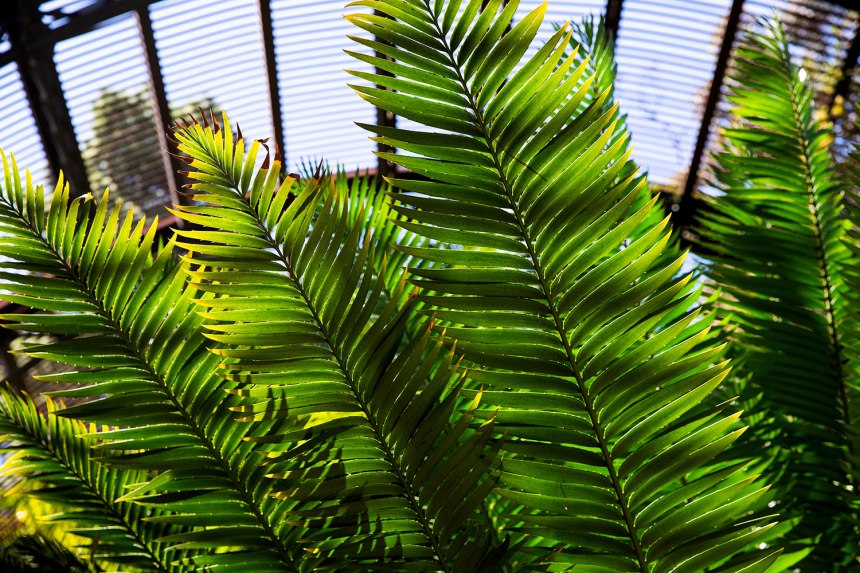 Exploring San Diego / for the love of nike