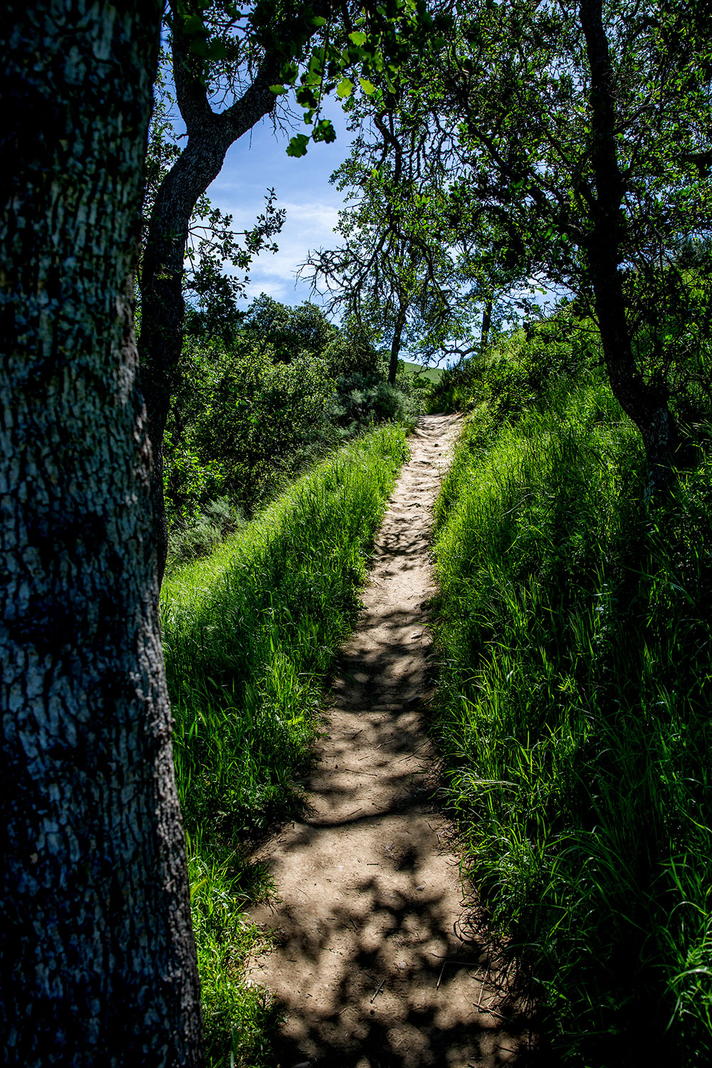 Sunol, California / for the love of nike