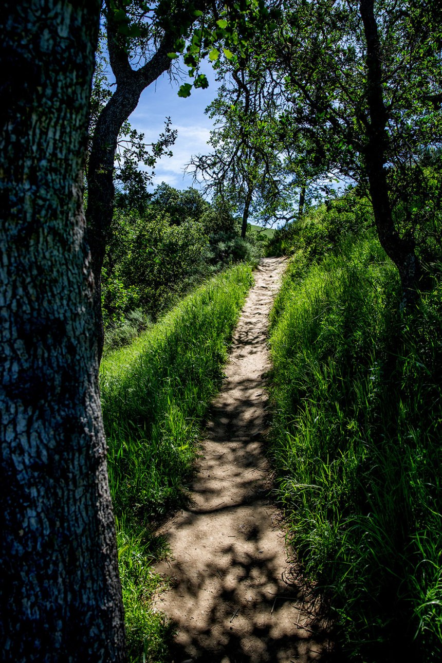 Sunol, California / for the love of nike