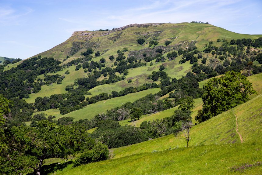 Sunol, California / for the love of nike