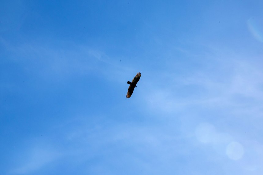 Sunol, California / for the love of nike