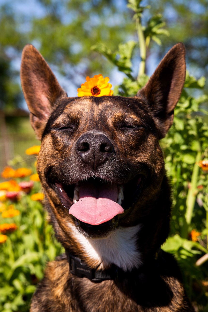 Sunol, California / for the love of nike