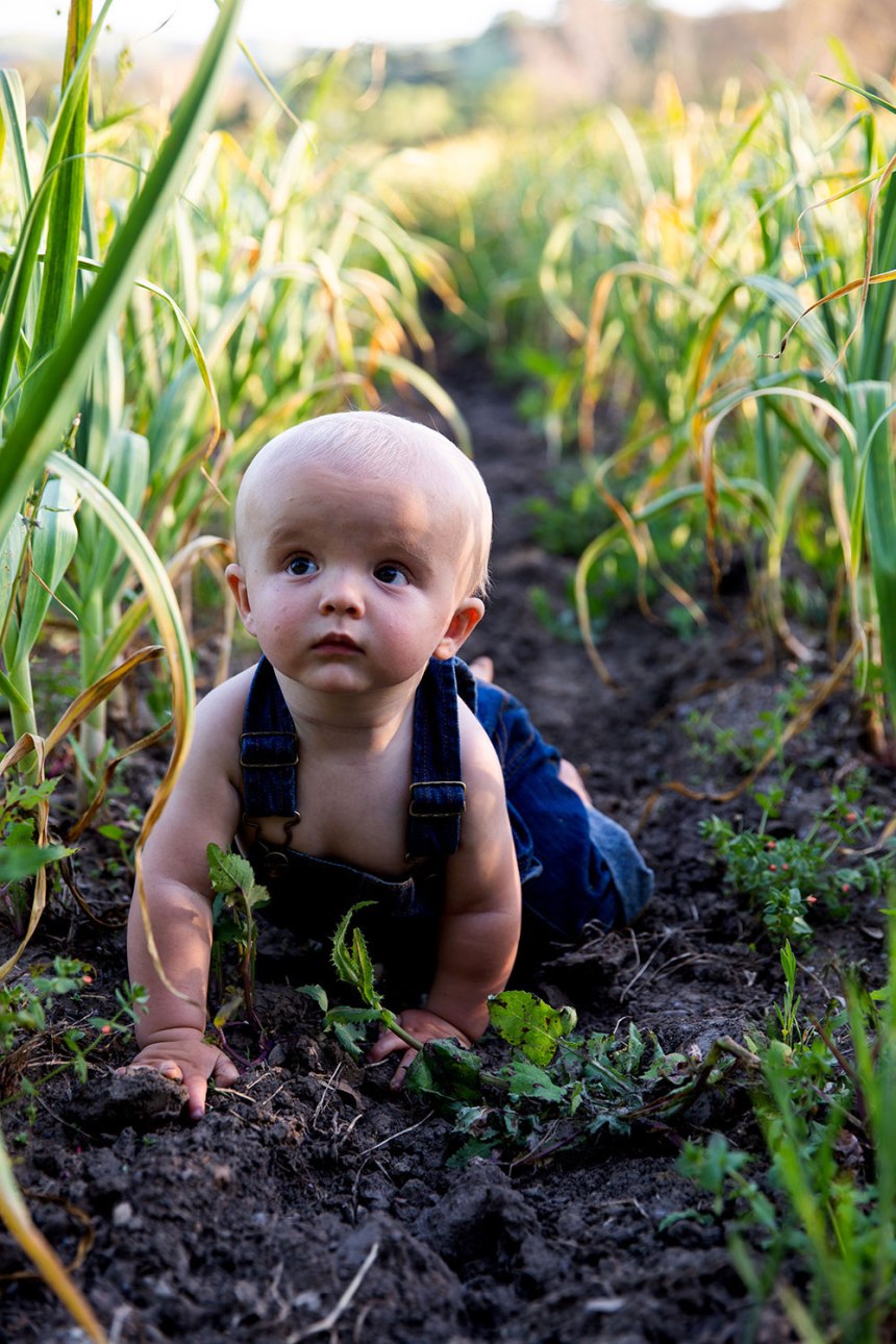 Sunol, California / for the love of nike