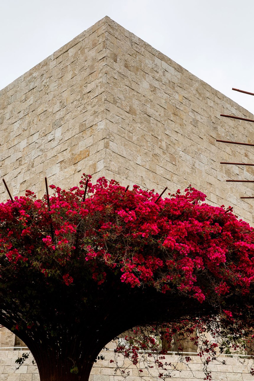 The Getty Museum, Los Angeles / for the love of nike