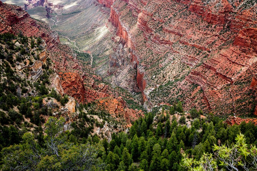 The Grand Canyon / for the love of nike