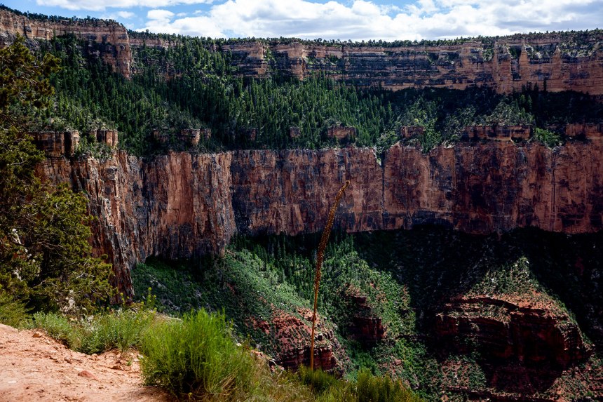 The Grand Canyon / for the love of nike