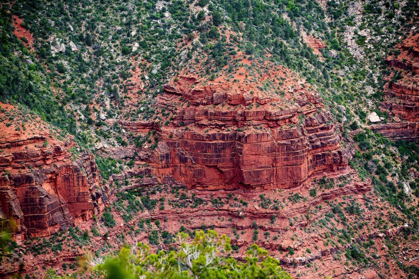 The Grand Canyon / for the love of nike