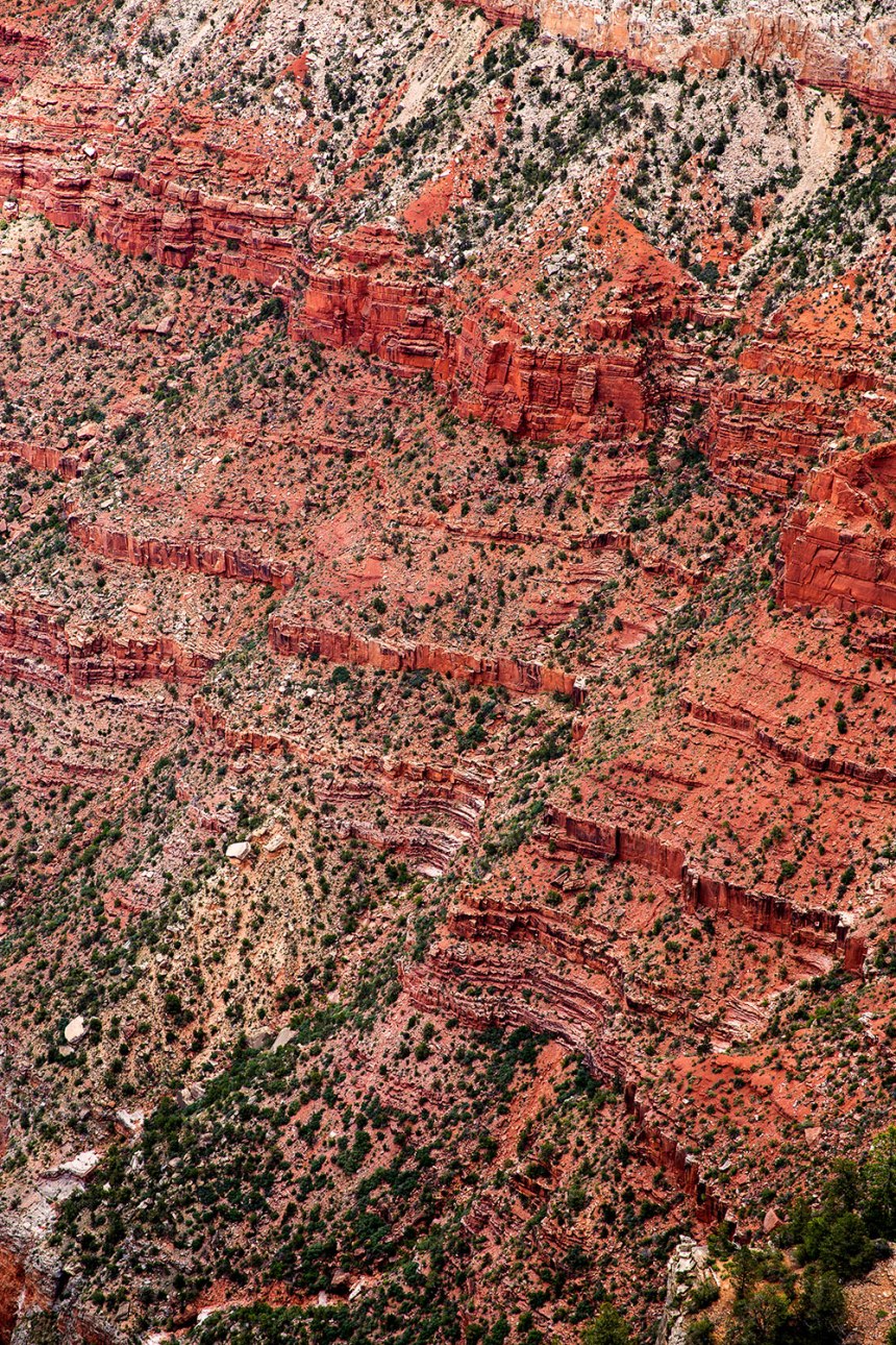 The Grand Canyon / for the love of nike