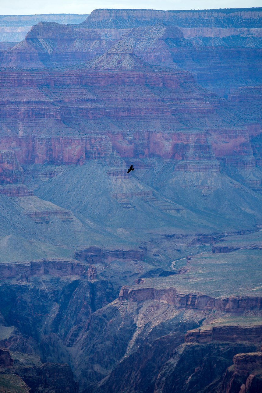 The Grand Canyon / for the love of nike