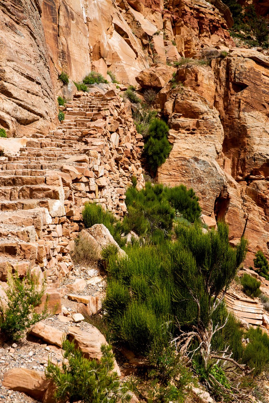 The Grand Canyon / for the love of nike