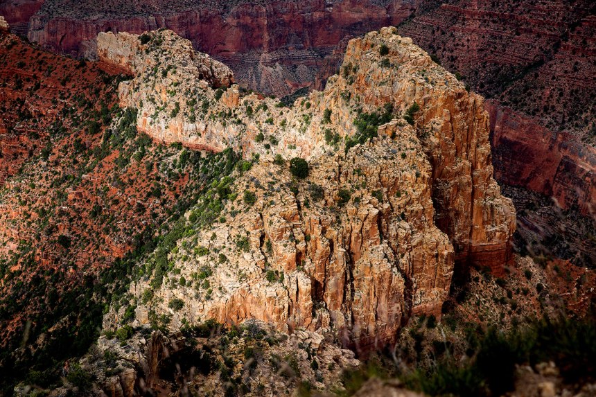 The Grand Canyon / for the love of nike