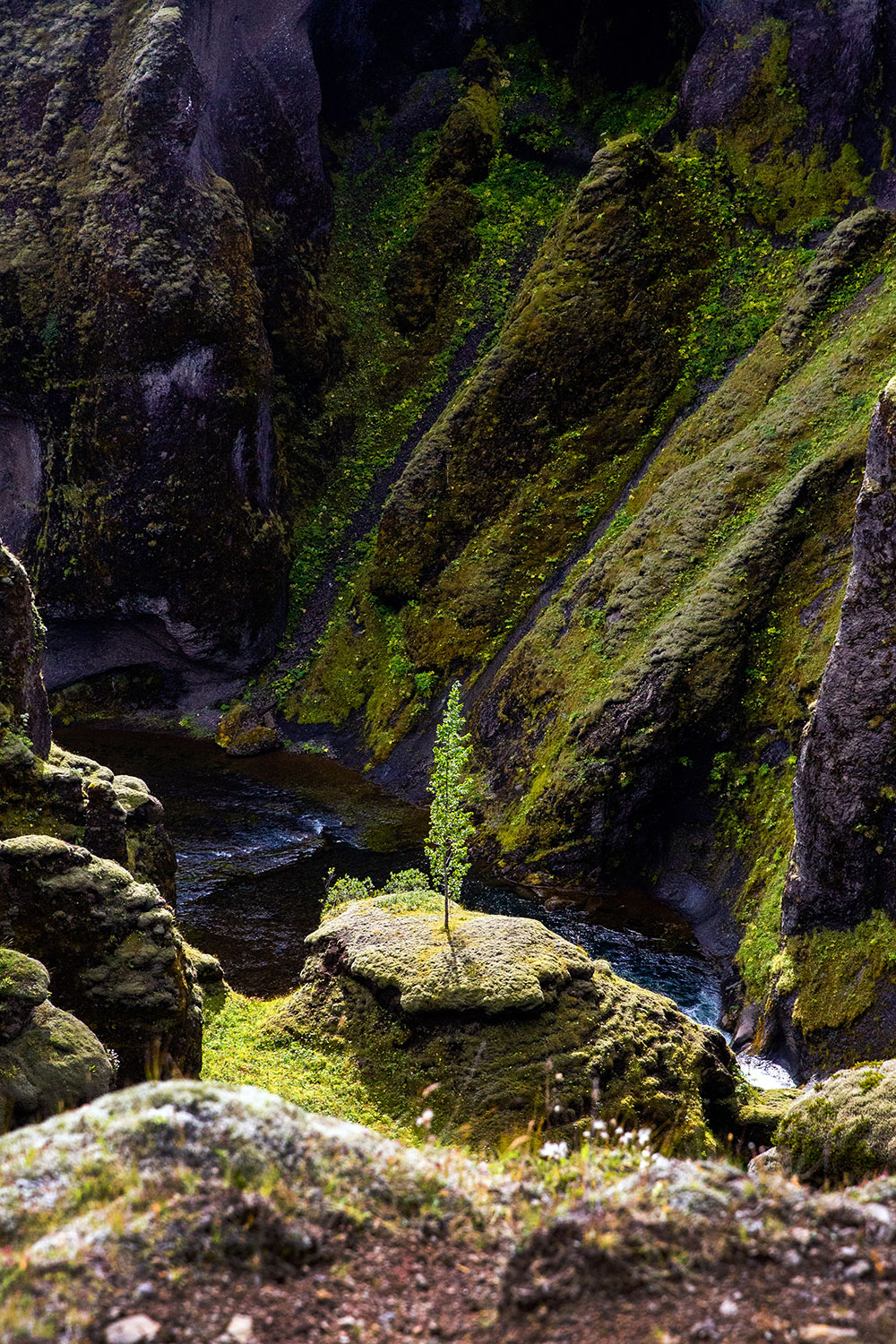 Fjaðrárgljúfur / for the love of nike