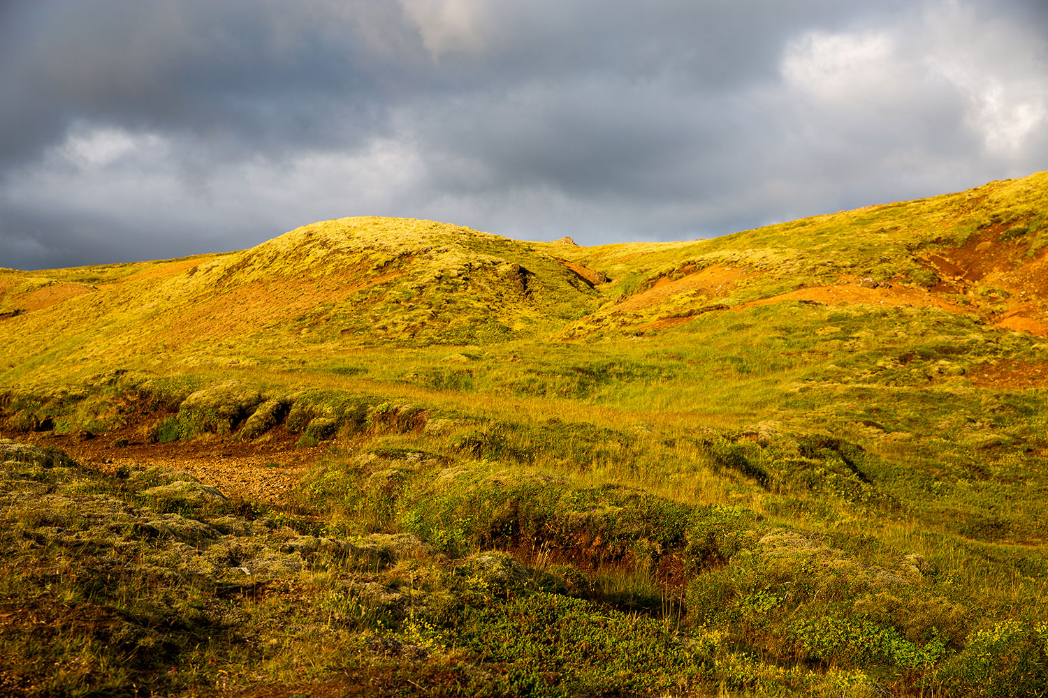 Reykjadalur Thermal Springs in Iceland / for the love of nike