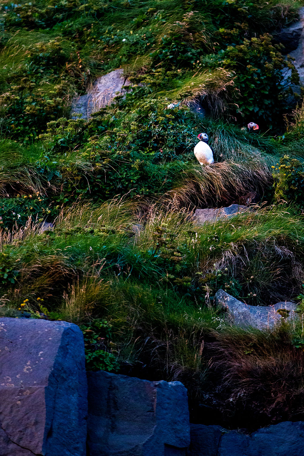 Reynisfjara Black Sand Beach in Iceland / for the love of nike