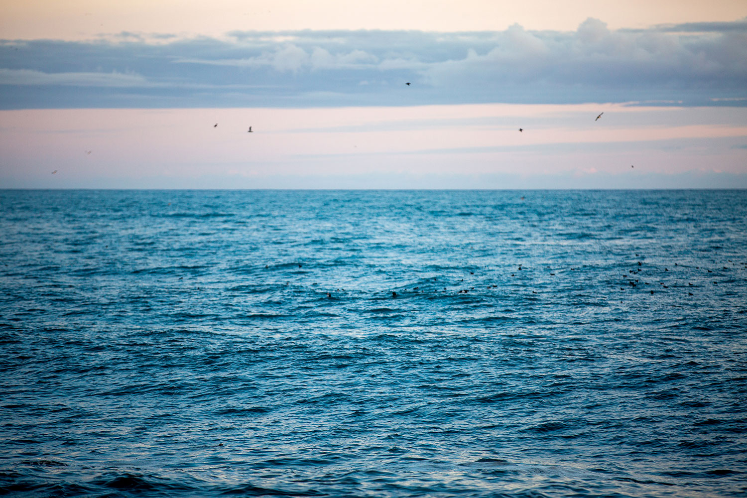 Reynisfjara Black Sand Beach in Iceland / for the love of nike
