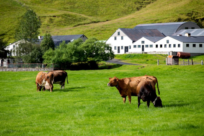 Skogafoss, Iceland / for the love of nike / Jennifer Martinez Conway