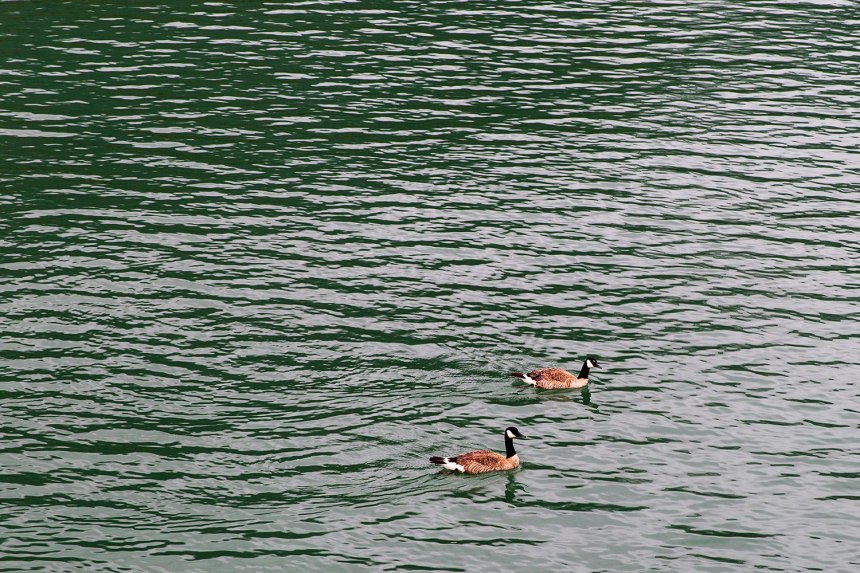 Exploring Squamish / for the love of nike / Jennifer Martinez Conway