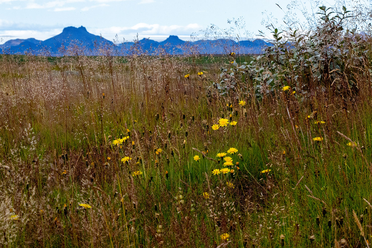 Strokkur Geysir in Iceland / for the love of nike / Jennifer Martinez Conway