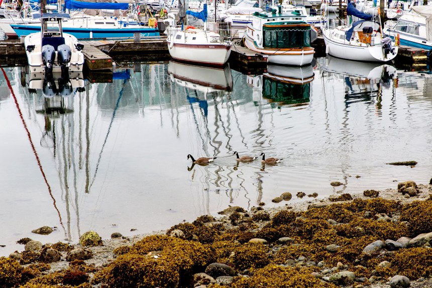 Exploring Vancouver / for the love of nike / Jennifer Martinez Conway