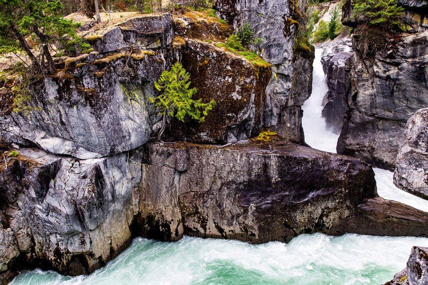 Exploring Whistler / for the love of nike / Jennifer Martinez Conway