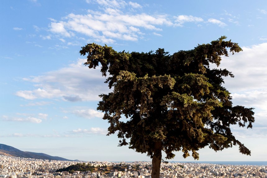 Athens, Greece / for the love of nike