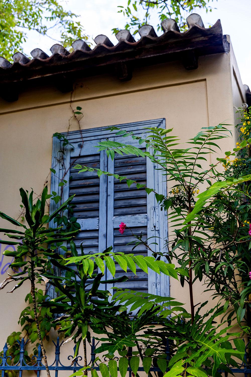 Athens, Greece / for the love of nike