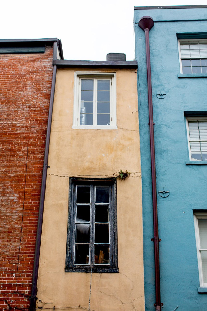 Merry Christmas from New Orleans / for the love of nike / Jennifer Martinez Conway