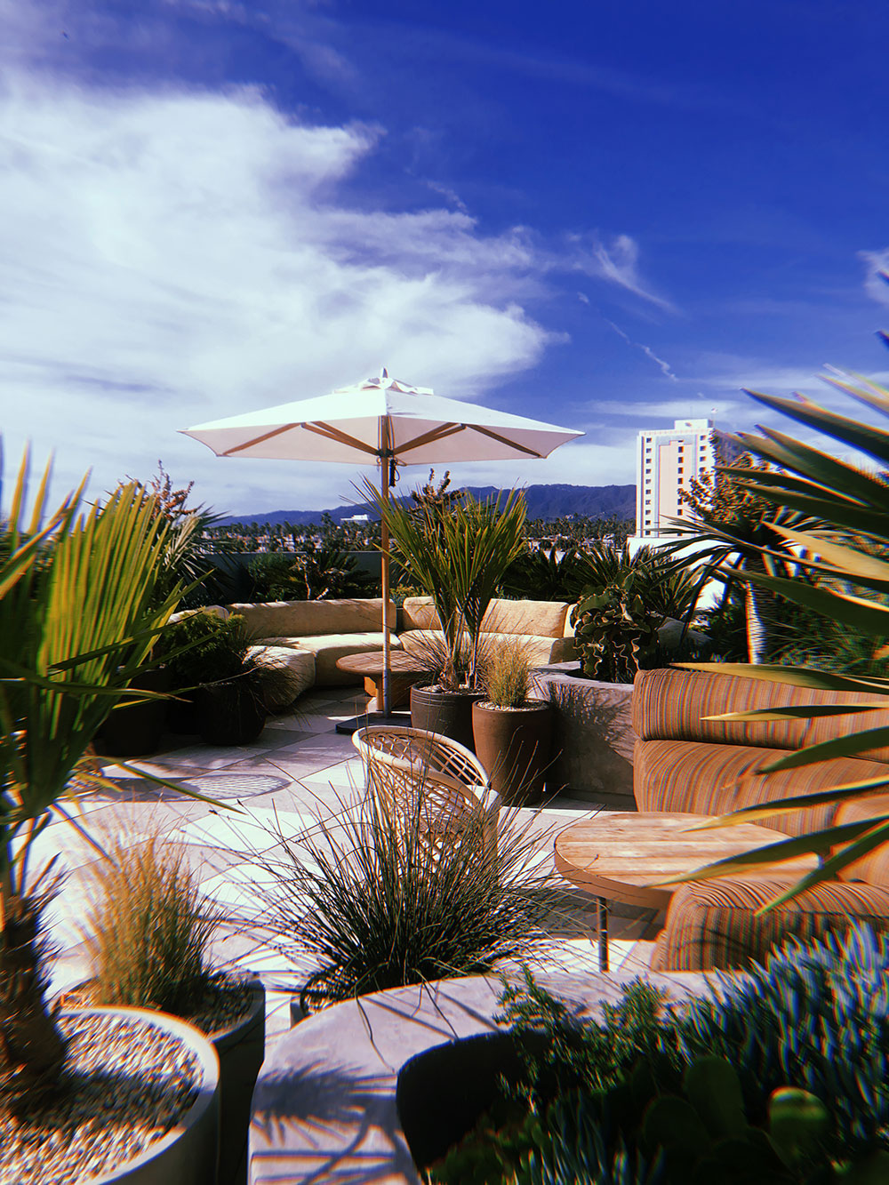 Exploring Santa Monica / for the love of nike