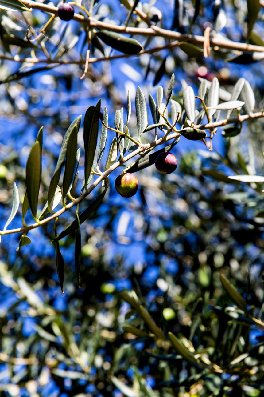 Exploring Dubrovnik / for the love of nike / Jennifer Martinez Conway