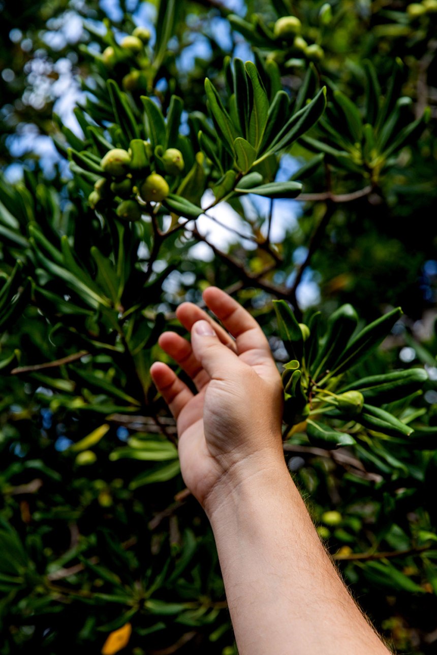 Exploring Dubrovnik / for the love of nike / Jennifer Martinez Conway