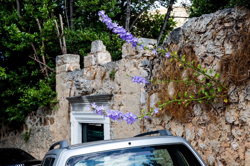 Exploring Dubrovnik / for the love of nike / Jennifer Martinez Conway